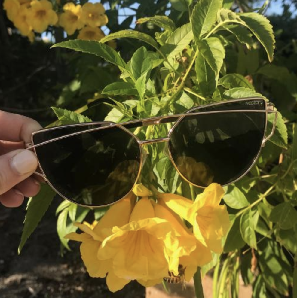Bee Conscious with Nectar Sunglasses